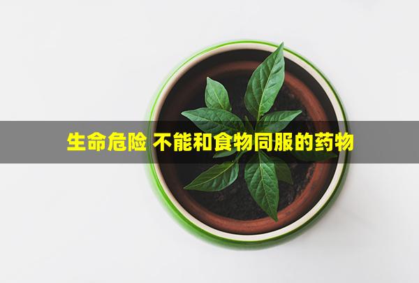 生命危险 不能和食物同服的药物